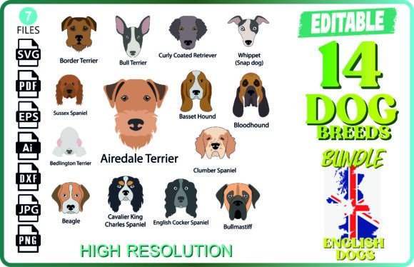 14 English Dog Breeds - Bundle: A Hands-On Review