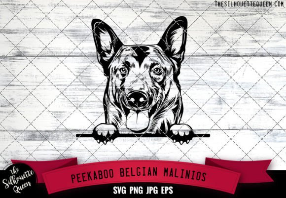 Belgian Malinios Peekaboo Dog Face: A Designer's Review