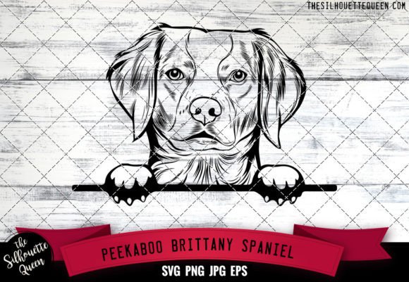 Brittany Spaniel Peekaboo Dog Face: Designer Review