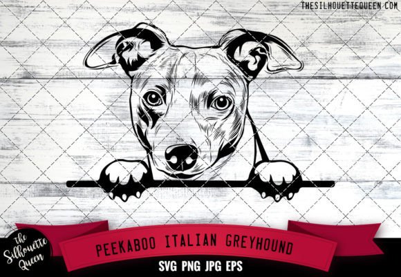 Italian Greyhound Peekaboo Dog Face: A Review