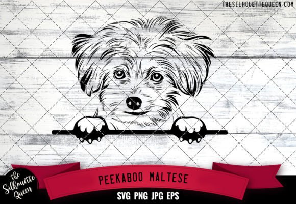 Maltese Peekaboo Dog Face: A Designer's Review