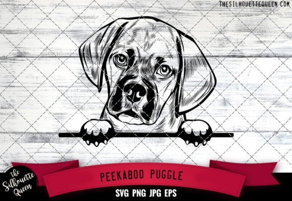 Puggle Peekaboo Dog Face: A Designer's First Look