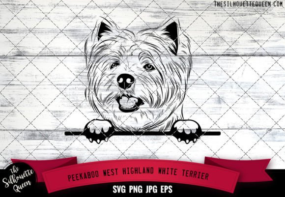 West Highland White Terrier Peekaboo Dog Review